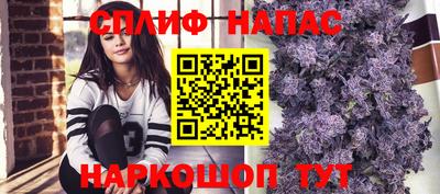 PSILOCYBIN Гагарин